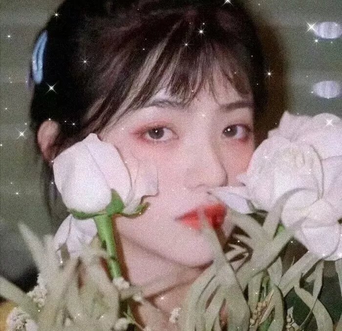 法海你不懂爱